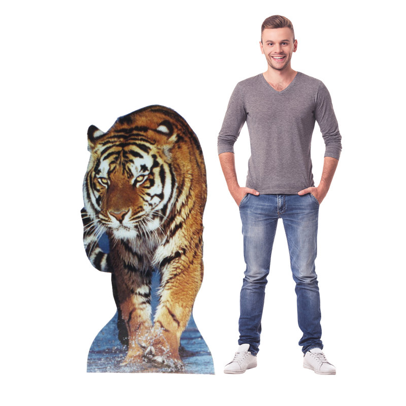 Life-Size Tiger Cardboard Standup with Full-Color Graphics