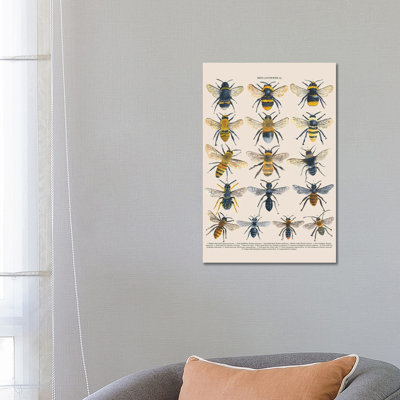 Bees by Michelle Campbell - Wrapped Canvas Print
