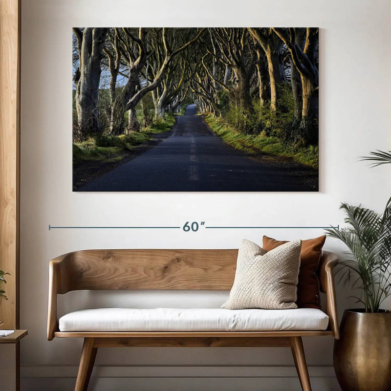 Kavia The Dark Hedges, 34" H x 51" W