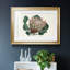 Protea N70, reproduction encadrée de qualité supérieure - prête à être accrochée-351619402-351619403