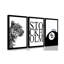 3 Piece Wrapped Canvas Print