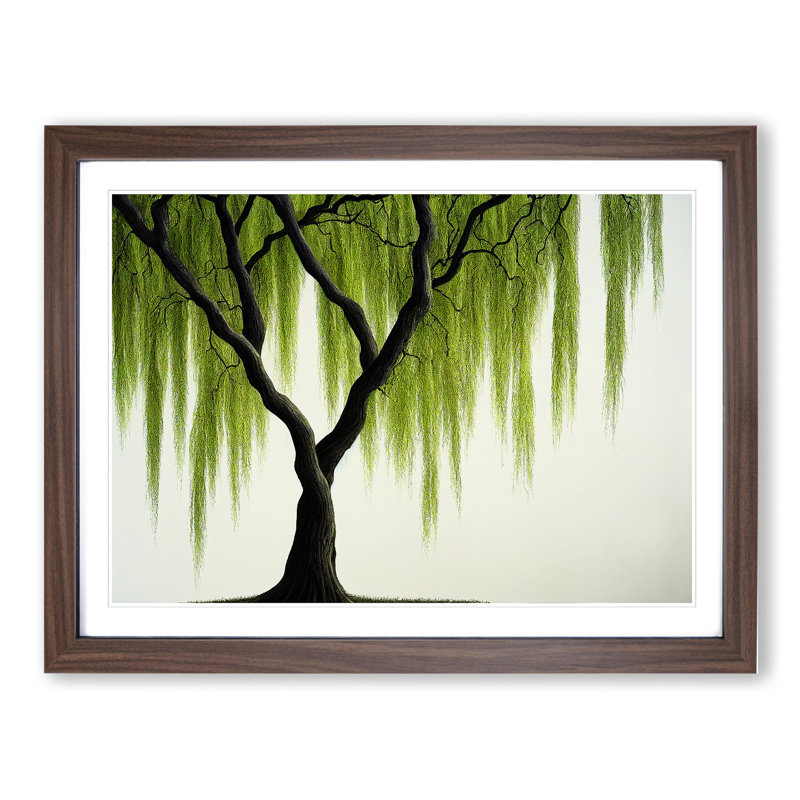 Irresistible Weeping Willow Tree - Single Picture Frame Print, 34cm H x 46cm W x 2cm D, Walnut