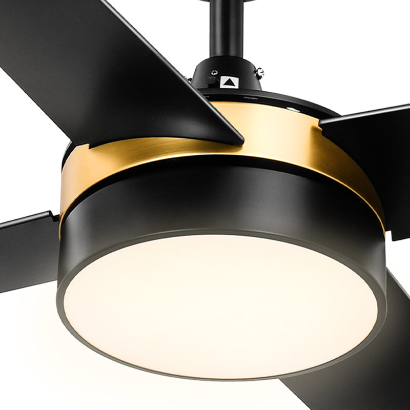 Scottsville 52 Inch Modern Ceiling Fans with Light and Remote, Black