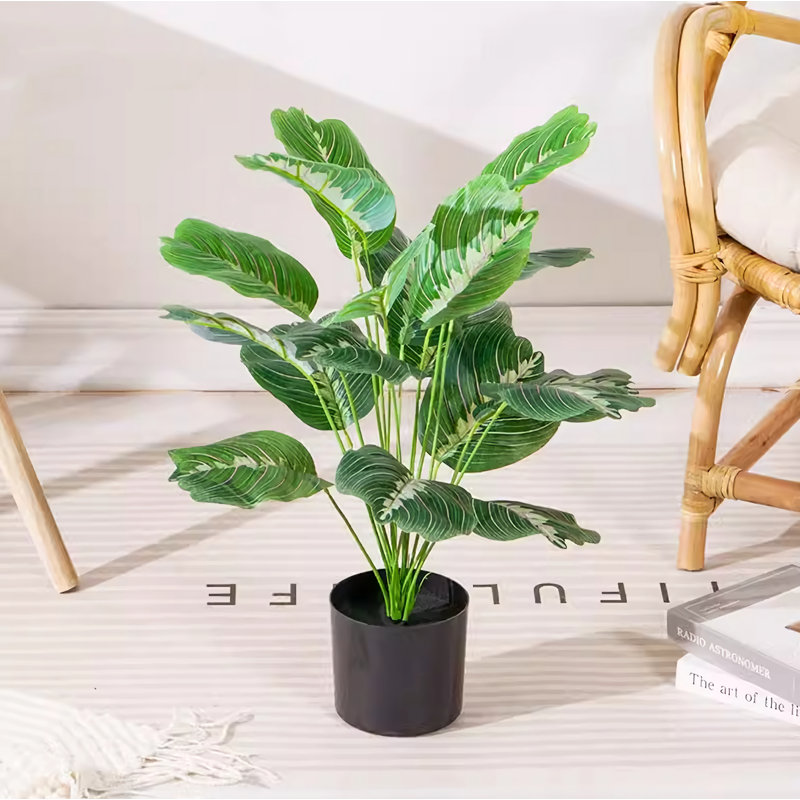 19,69 plante