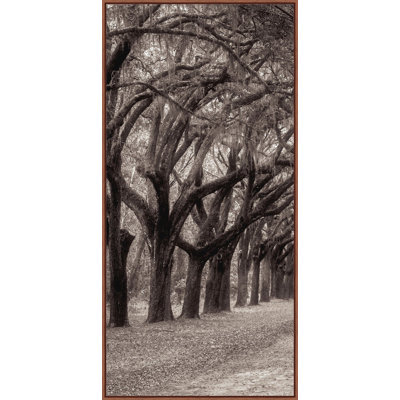 Nature's Arch Triptych A