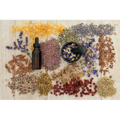 " Alternative Medicine " by Marilyna