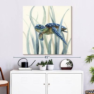 Tortue Brampt en ruppie maritime II
