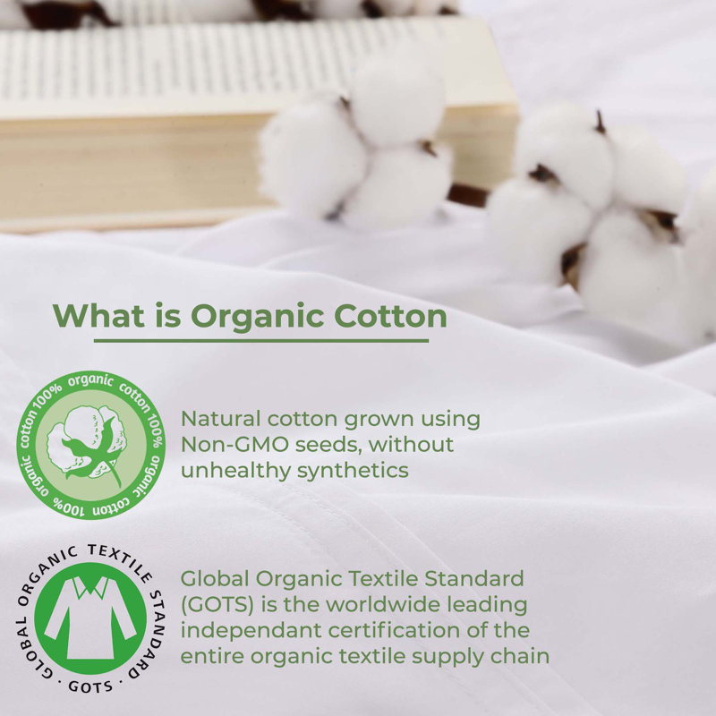 Silver Organic Cotton Percale Standard Pillowcases with Decorative Buttons