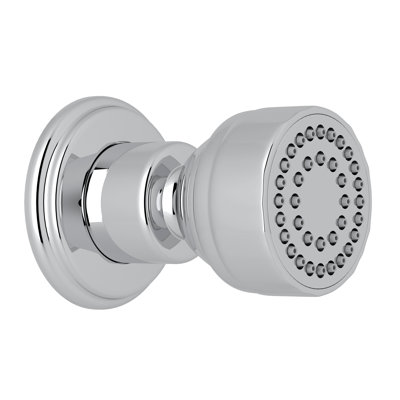 Adjustable Shower Head