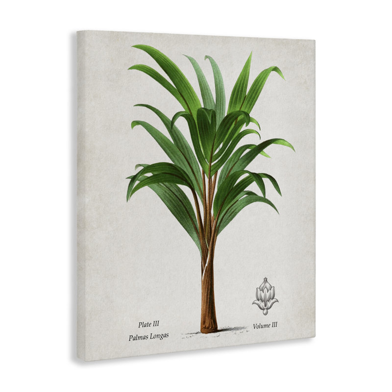 Toile de palmier à feuilles de bananier rétro, design par Val Rhodes, H 20 po x l 16 po