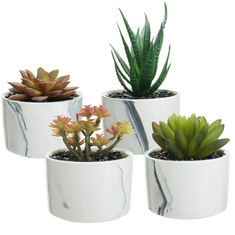 14.5cm Faux Succulent Plant in Ceramic Planter