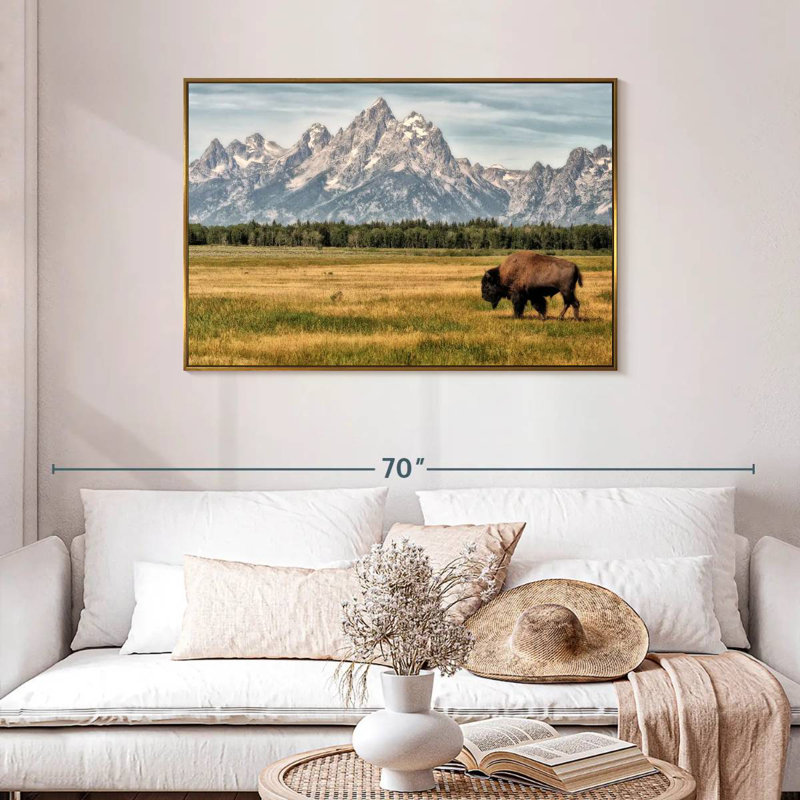 Bull Bison à Grand Teton, Cadre flottant doré, 43 po x 29 po