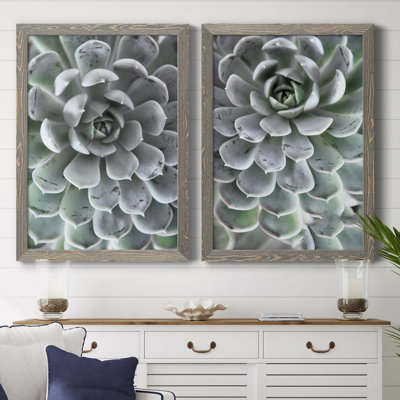 Zen Succulent III - ensemble de 2 reproductions de photos encadrées