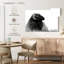 Ram bighorn de Brampt-107677440