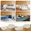  Canapé modulaire pour salon Manistique-380755369-383917612