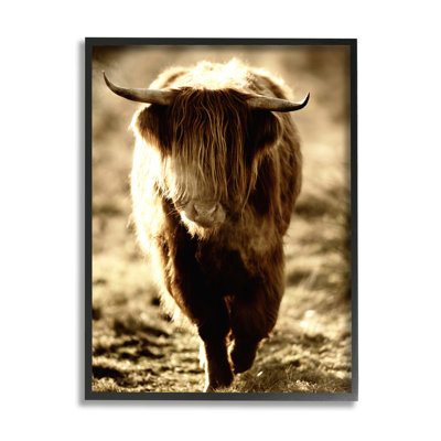 Sunlit Highland, Longhorn