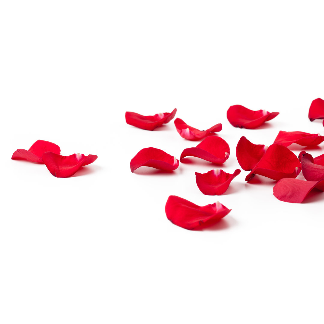 Laying Down Rose Petals von Esolla - Druck ohne Rahmen auf Leinwand