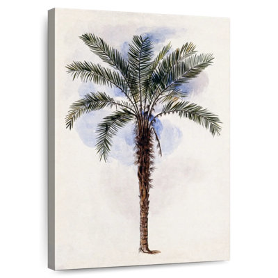 Murumuru Palm Tree 1846