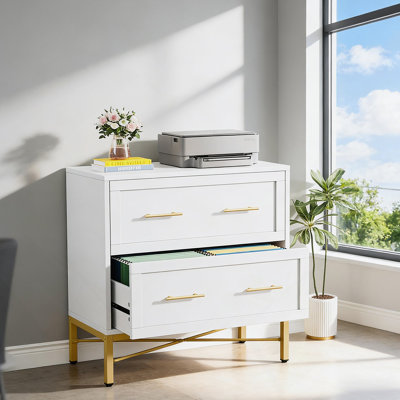 Office File Cabinet,2-Drawer File Cabinet,Sleek Design Storage Cabinet