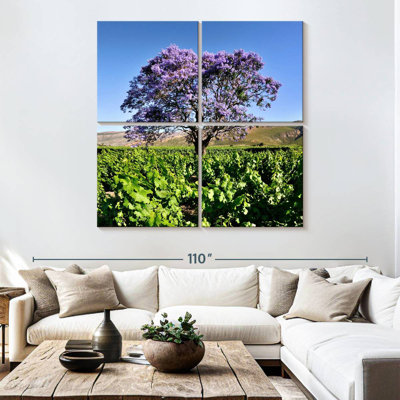 Harnek Jacaranda Tree