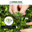 Primrue Artificial Boxwood Topiary in Pot-228549758