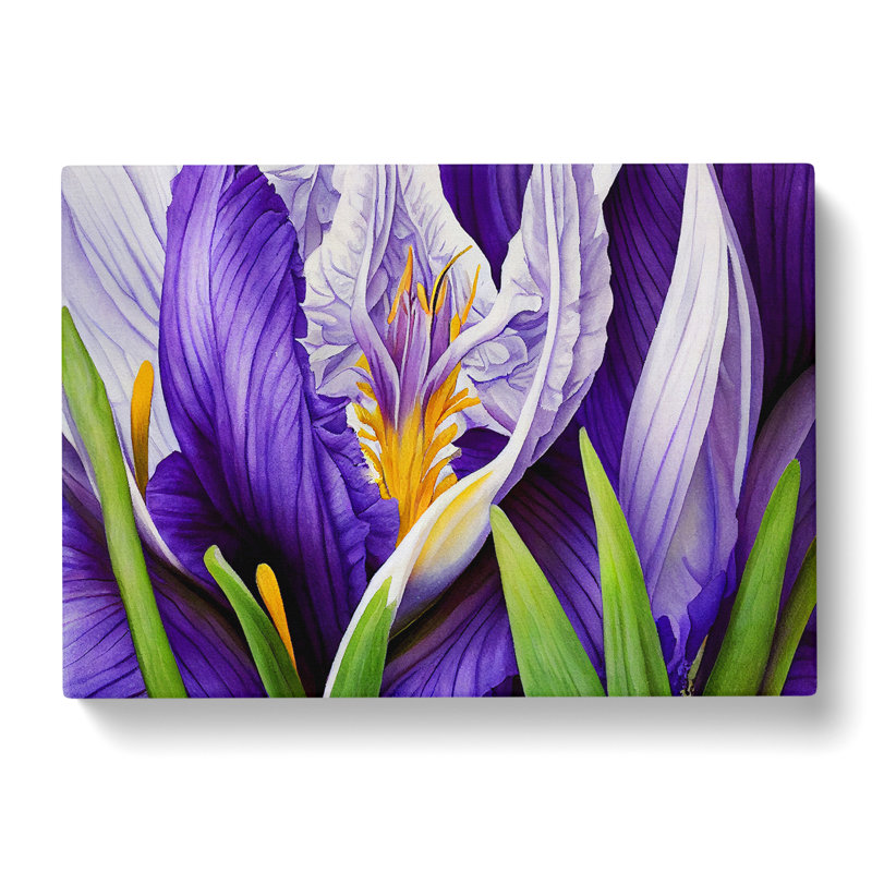 Modern Iris Flowers Vol.5 - Wrapped Canvas, 35cm H x 50cm W x 3cm D