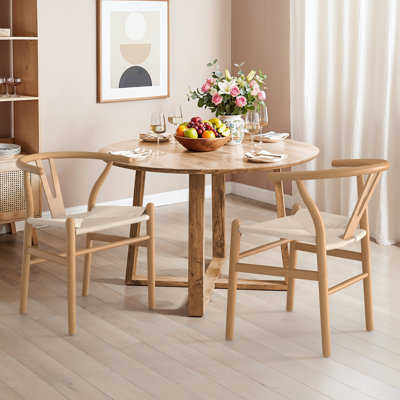 Wagner Woven Dining Chair (Set Of 2)