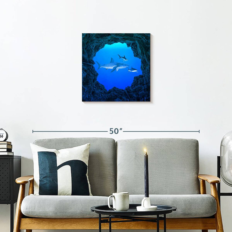 Brampt Sharks Ocean Hole, 20" H x 20" W