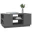 Kastin Solid Wood Solid Coffee Table with Storage-1595525951