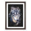 The Eyes of a Wolf - Picture Frame Painting Print-56742474-56742473