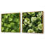Yoshiko - Ensemble de 2 collages floraux carrés-101855062-101855059