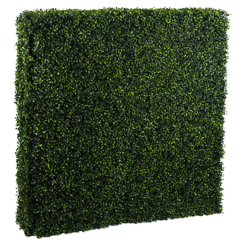 Boxwood Wall Panel Arrangement, 48" H x 48" W x 12" D