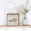 Camion Cottontail Farms-763568776