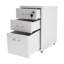 Lamekia 11'' Wide 3 -Drawer Mobile File Cabinet-1552543109