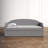 Twin Daybed with Trundle-313066603