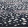 Buchannan Animal Print Hand-Knotted Area Rug in Black/White/Gray