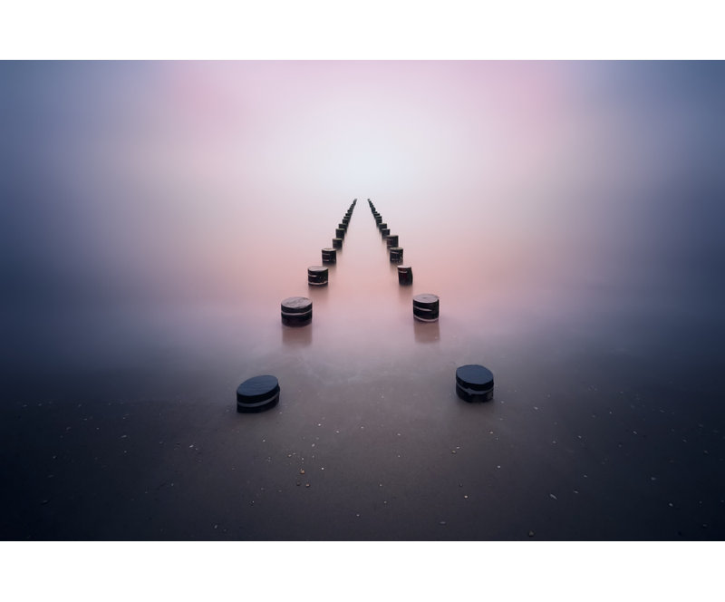 Wrapped Canvas Print, 50.8 cm H x 76.2 cm W
