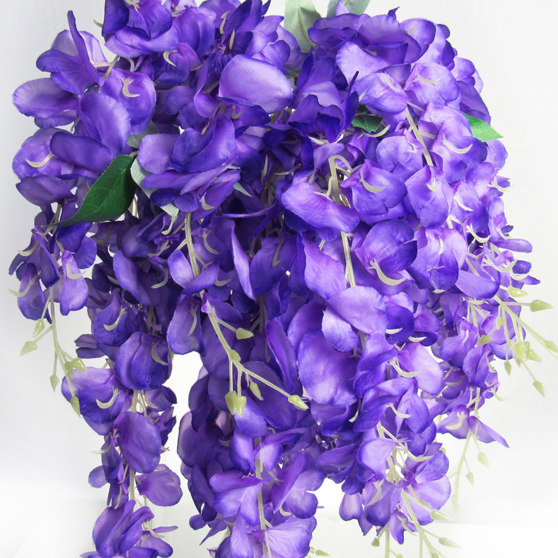 Tige de glycine suspendue, Mauve