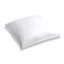 Lush Square Pillow Cover & Insert-869170600