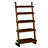 Stylish Transitional Ladder Shelf