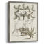 Sepia Botanical Journal VI Framed Print - Solid Wood-383357816