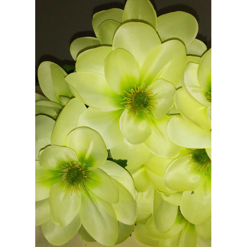 Buisson de fleurs de magnolia artificiel en pleine floraison, Céleri