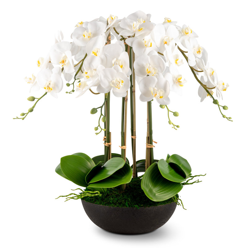 Arrangement Abella RealTouch Orchid, Blanc