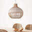 Carolus Dome Pendant Light, 1 Light