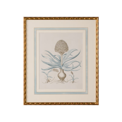 Besler Botanicals in Willow Blue IV