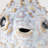 New Milford Animals Figurines & Sculptures-1397582339