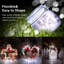 LED Indoor / Outdoor String Lights-770887406-770887400