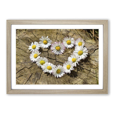 Flower White Daisy Heart Chain (2) Framed Photographic - Framed Print