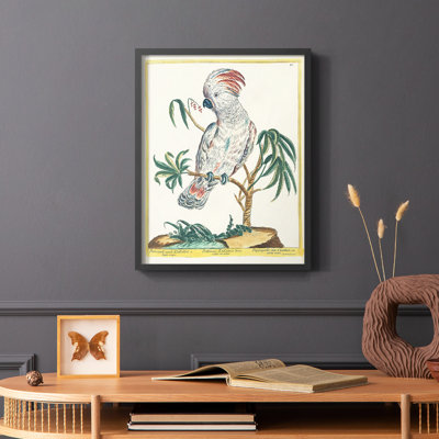 Pastel Birds II Framed Print - Solid Wood