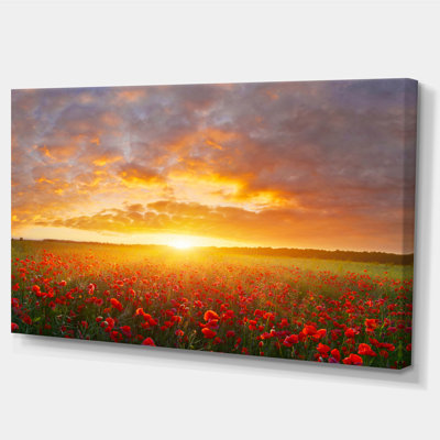 " Poppy Field Under Bright Sunset "